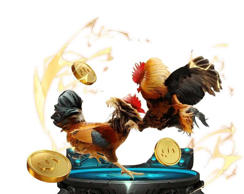 Dịch vụ cá nhân hóa ee888 VIP